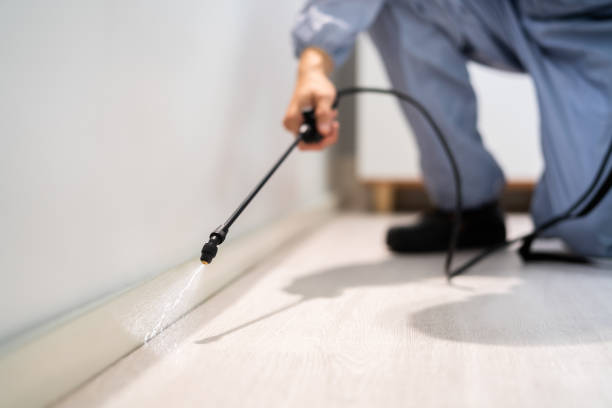 Licensed Termite Control service in Jackson, CA - Nex Pest Control