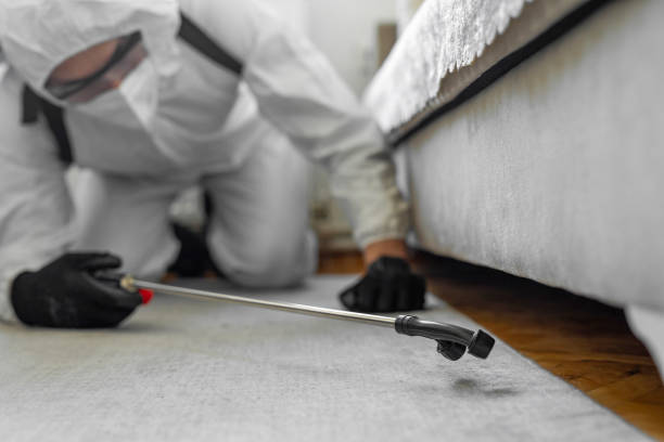 Professional Termite Control technician working in Jackson, CA