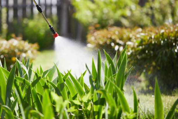 24/7 Emergency Termite Control experts in Jackson, CA
