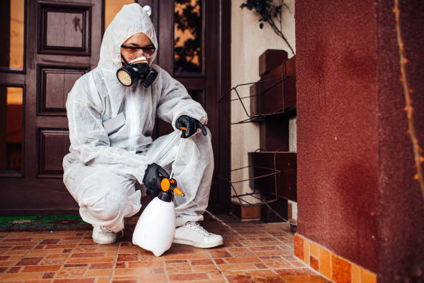 Reliable Termite Control contractor in Jackson, CA by Nex Pest Control