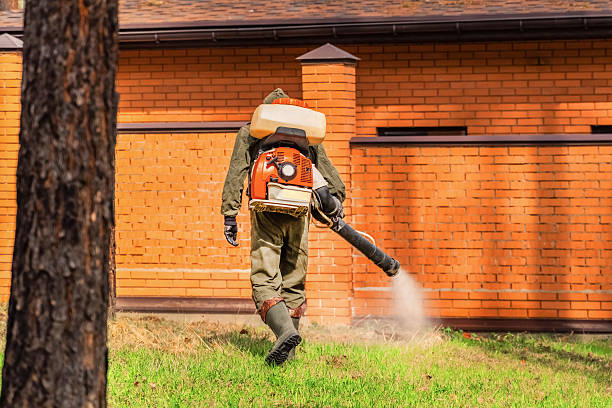 Top rated local Termite Control specialists in Jackson, CA
